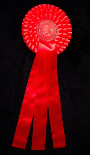 Geldern 3